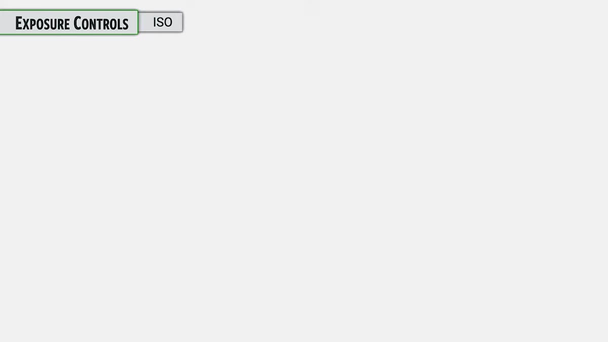 ISO settings menu with Auto ISO behavior shown