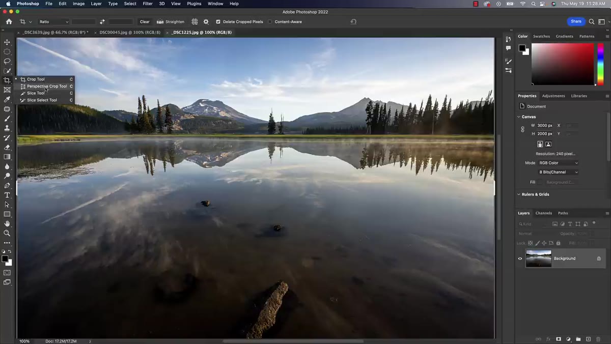 Crop tool flyout showing Perspective Crop and Slice tools