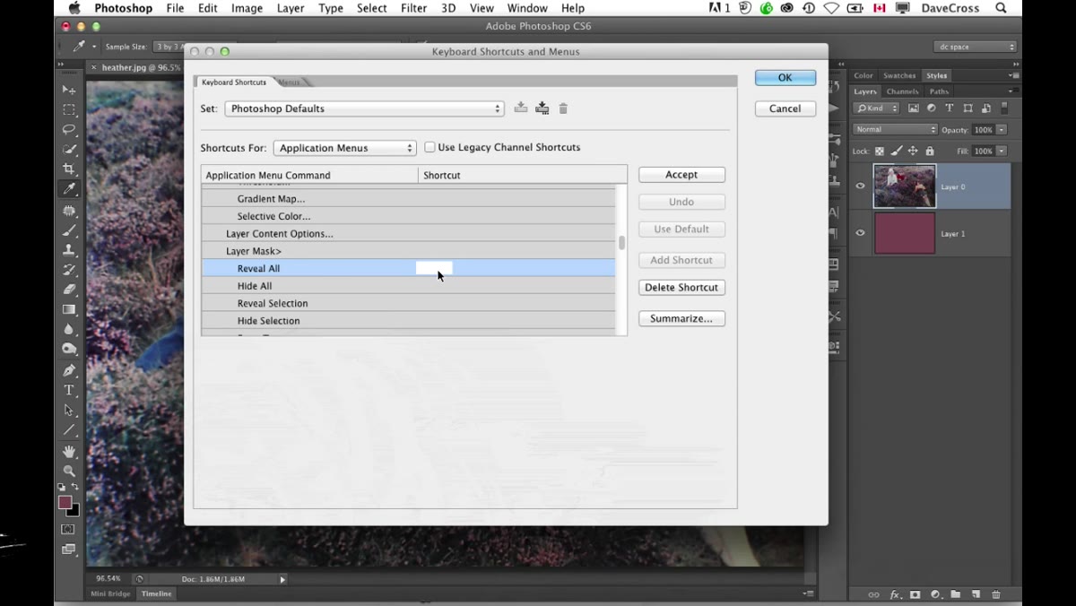 Canvas showing raw black and white mask view after Alt-click
