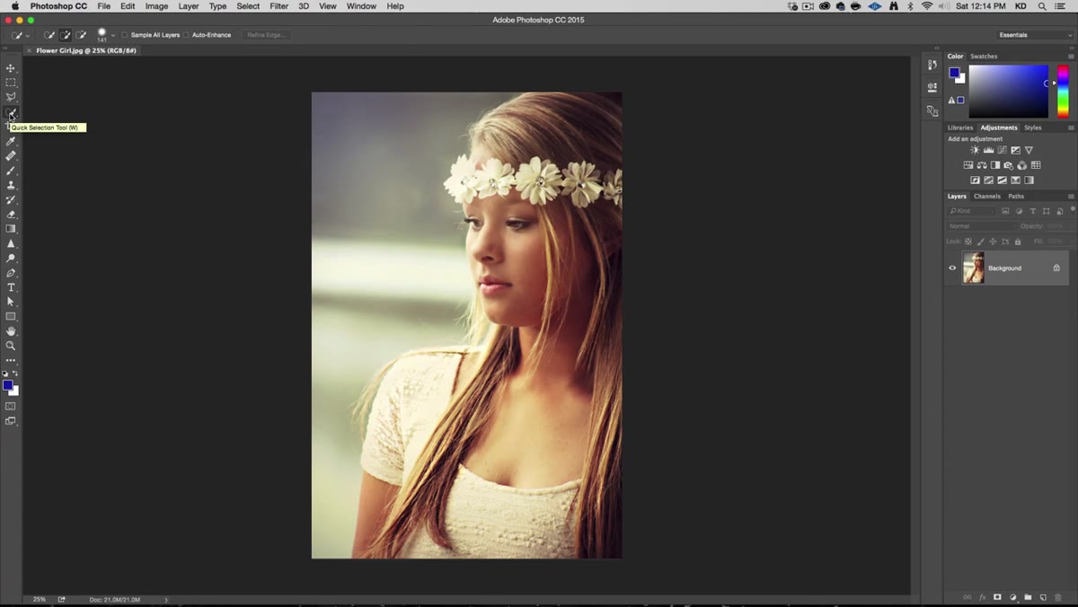 Quick Selection tool brushing over the background of the image
