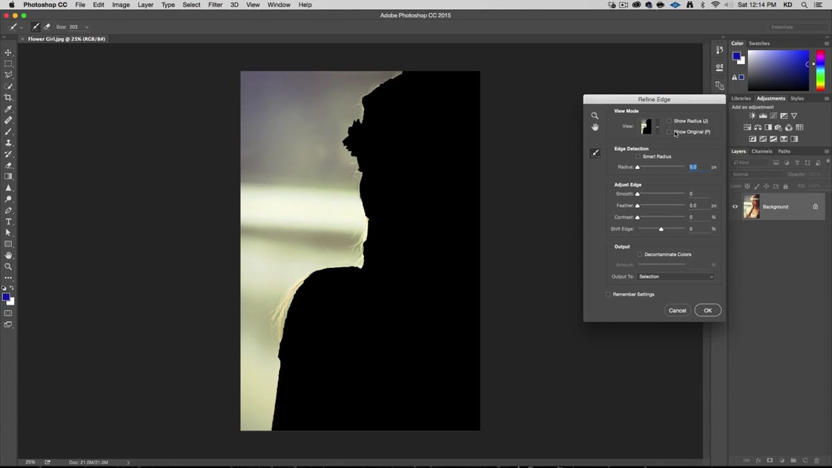 Refine Edge dialog open with overlay view mode active