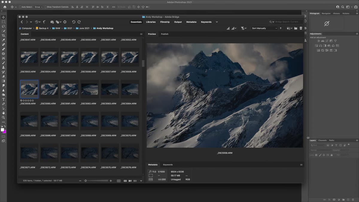 Adobe Bridge showing thumbnail grid with raw file selected
