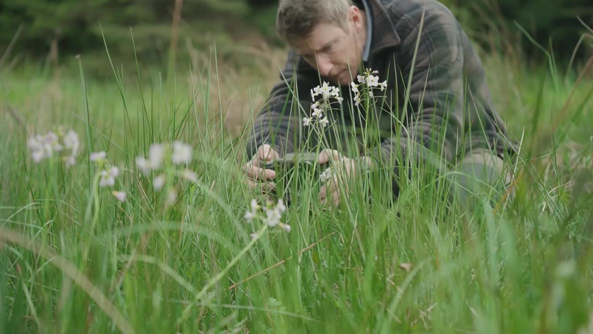 Lens positioned close to grass blades with flowers visible behind