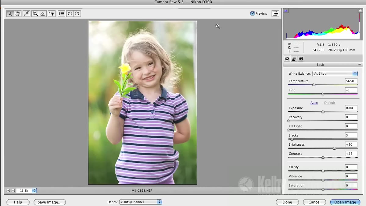 Before and after preview showing Camera Vivid applied