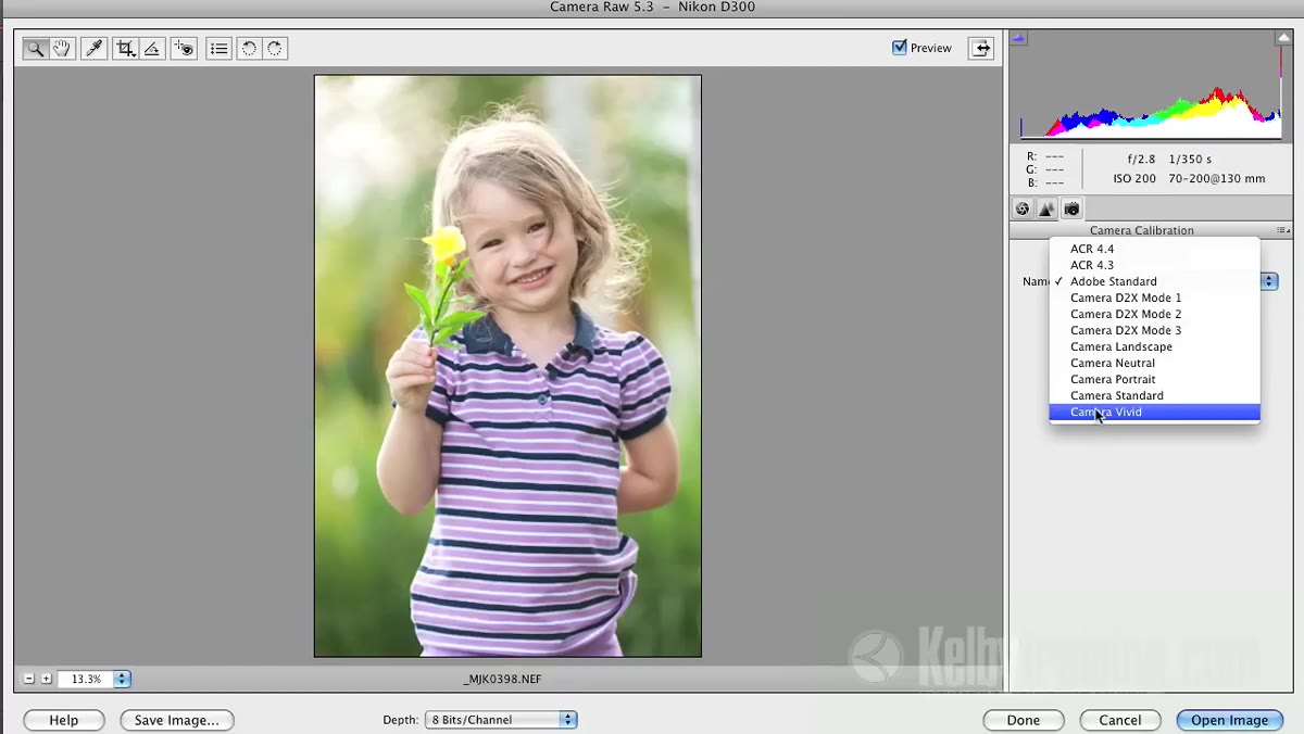 Basic panel open after profile selected, sliders being adjusted
