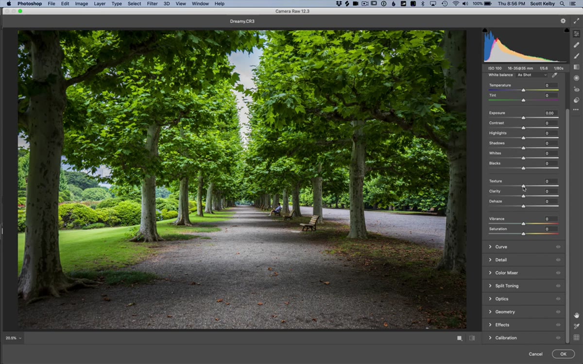 Texture slider being dragged to negative 100 in Camera Raw
