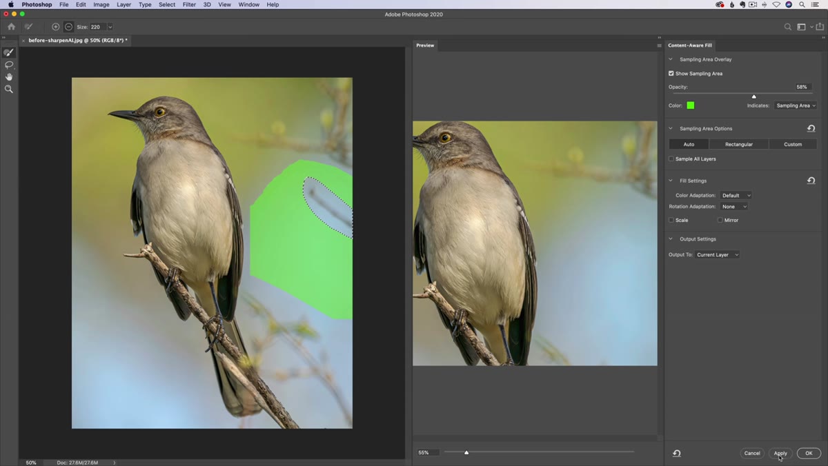Apply button visible in bottom right of Content-Aware Fill panel