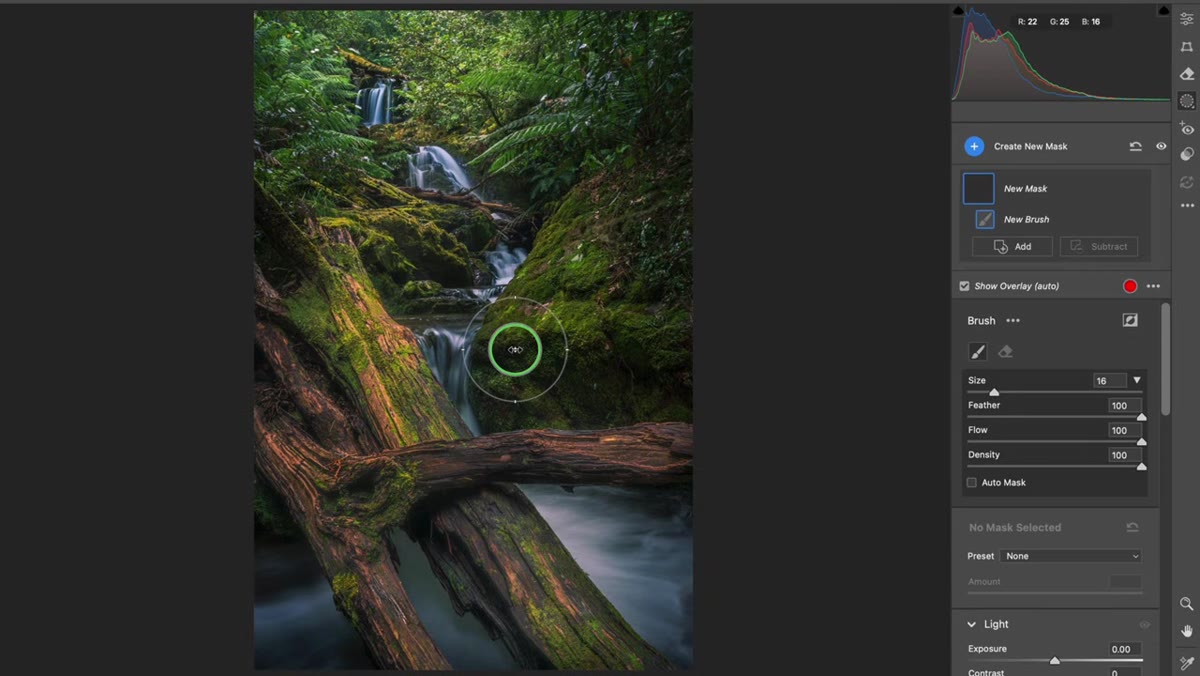 Adjustment brush panel open in Camera Raw interface